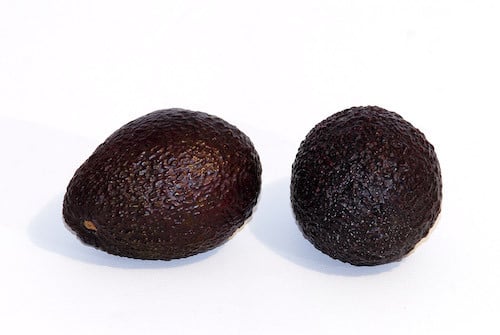 A picture of Avocado